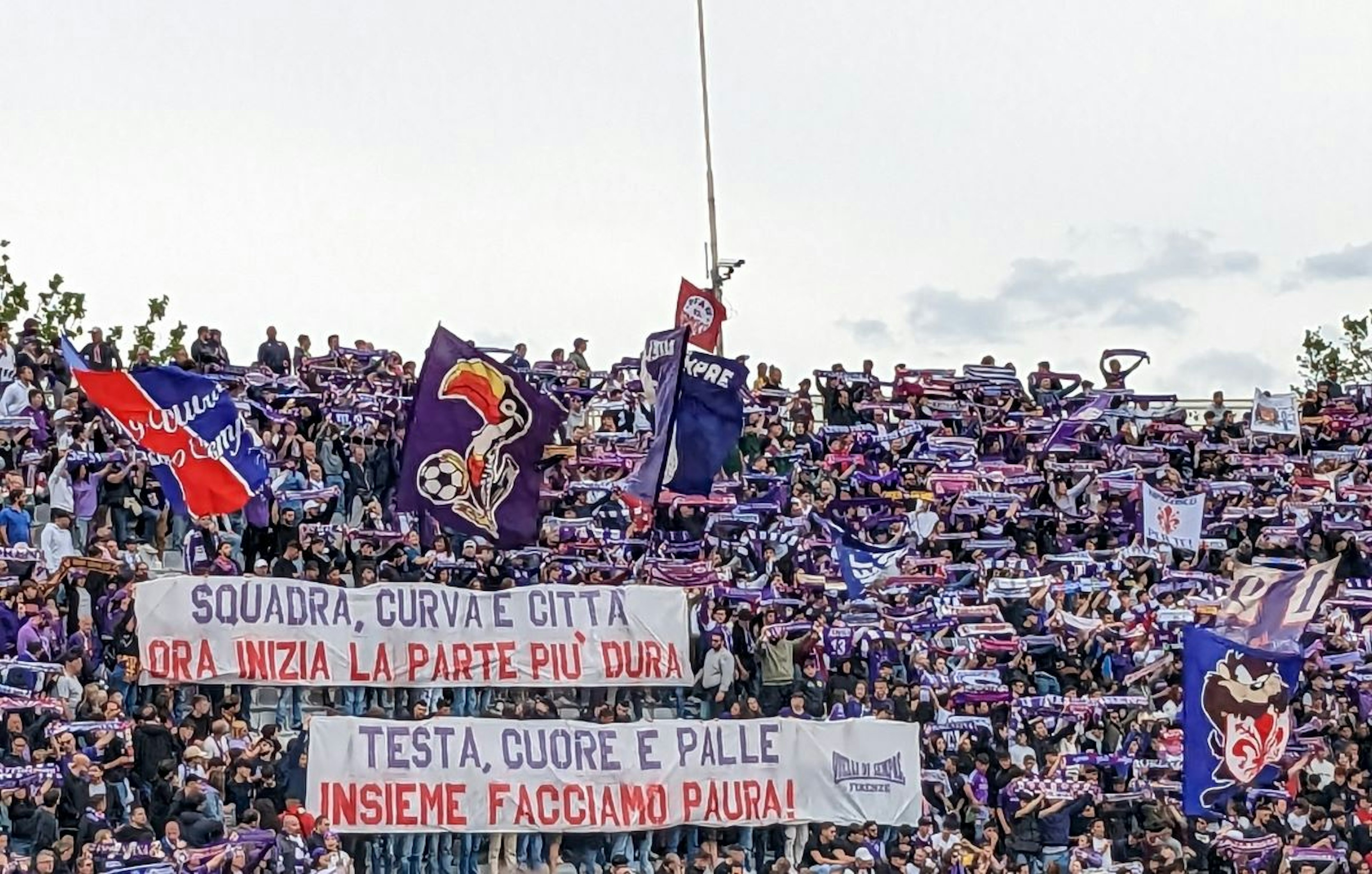 Cover Image for Fiorentina: The Rise of Vincenzo Italiano